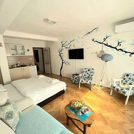 Center Apartment Visegrad